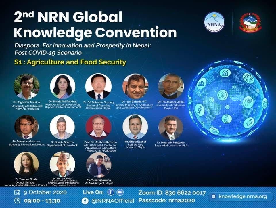 Conferences & Presentations